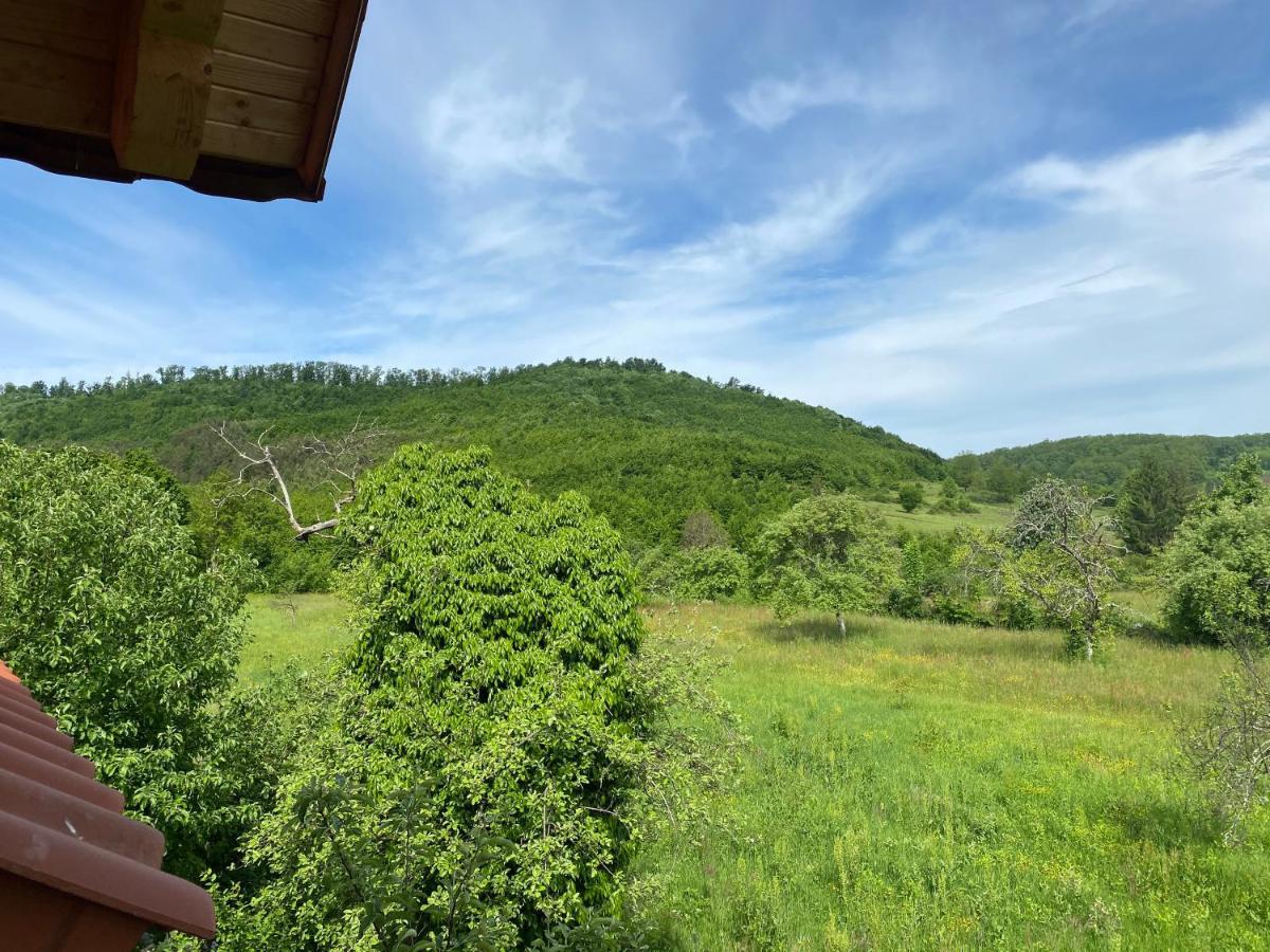 Casa Dea Villa Gladna Montana Dış mekan fotoğraf
