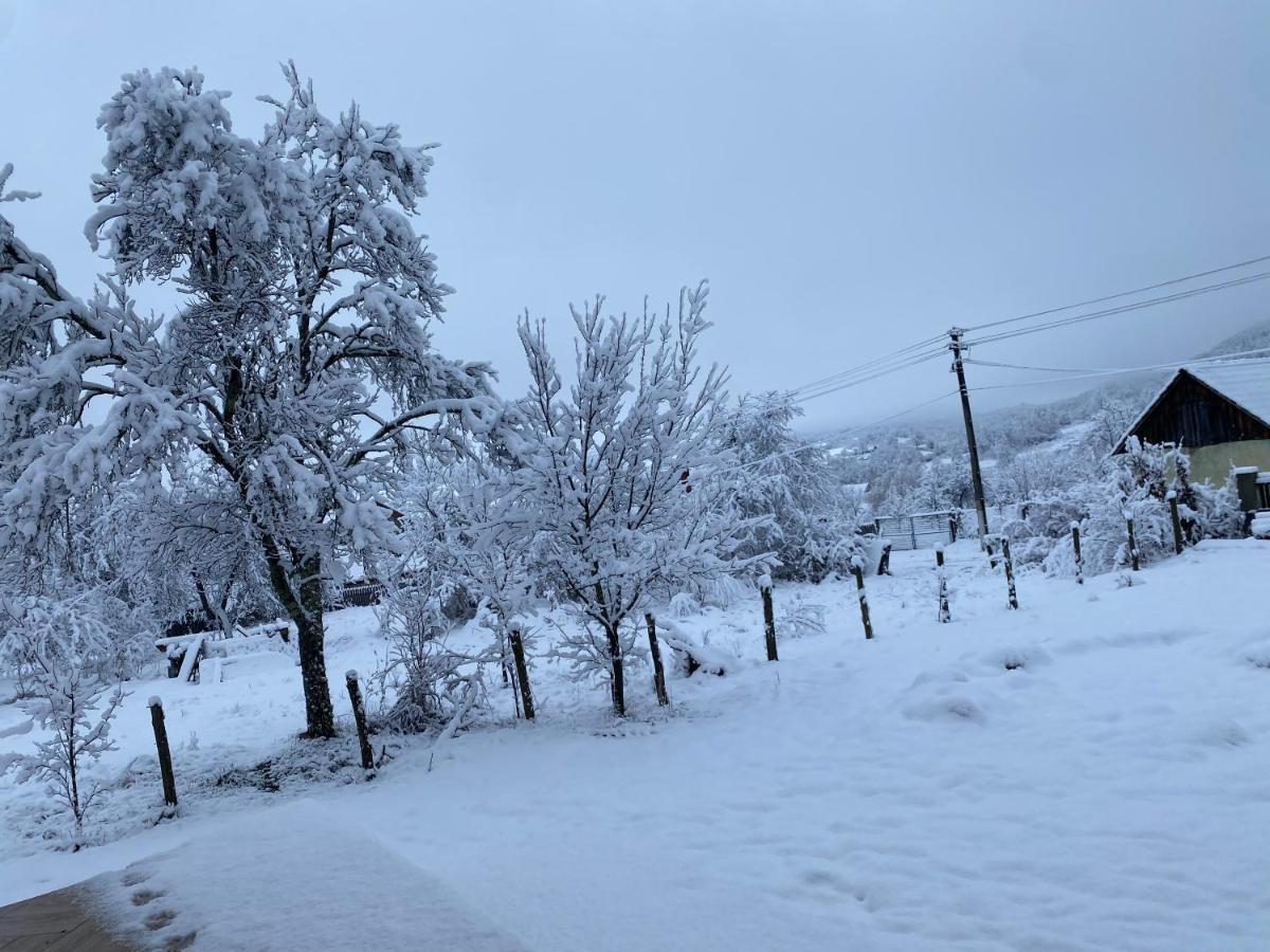 Casa Dea Villa Gladna Montana Dış mekan fotoğraf